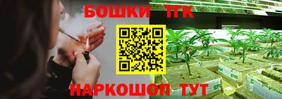 тгк Дубна