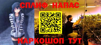 хмурый Гусь-Хрустальный